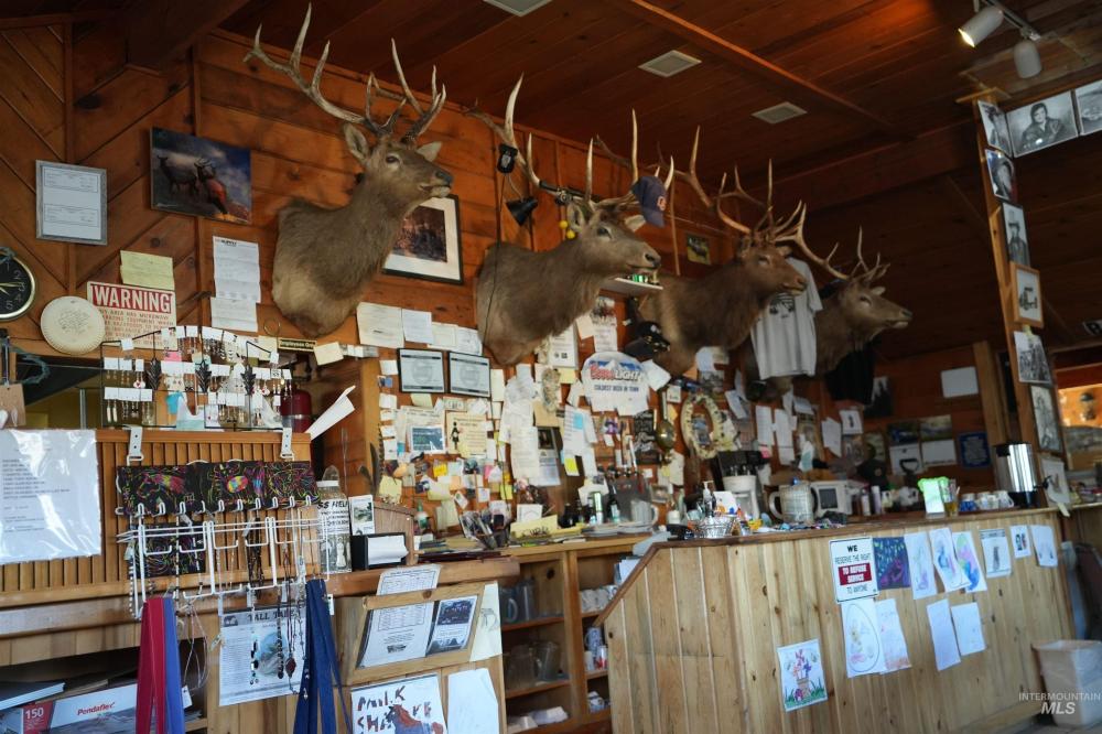 Currently Displayed Property Photo