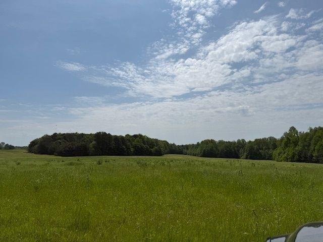 Currently Displayed Property Photo