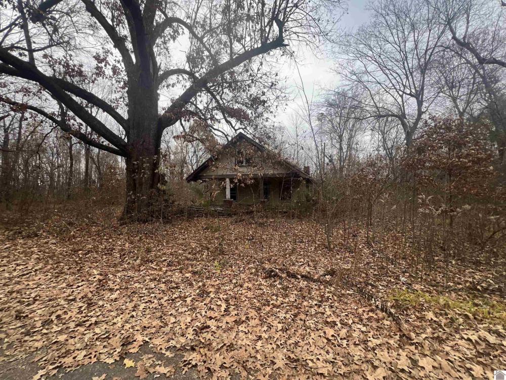 Currently Displayed Property Photo