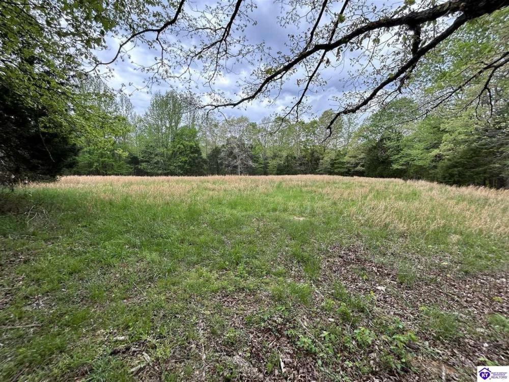 Currently Displayed Property Photo