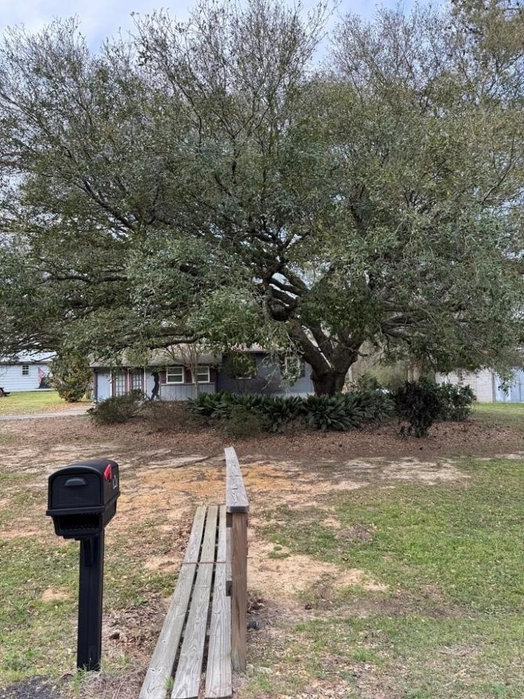 Currently Displayed Property Photo