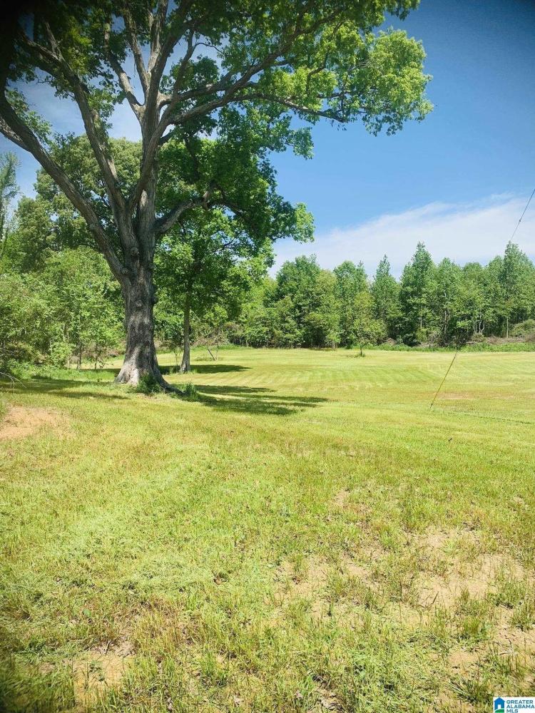 Currently Displayed Property Photo