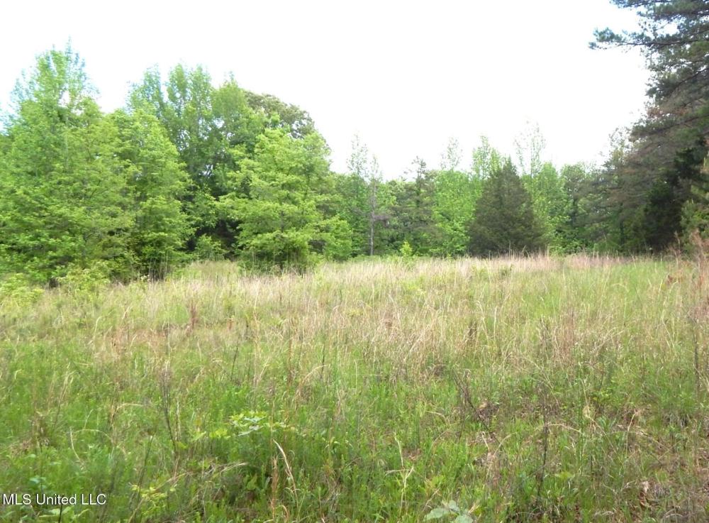 Currently Displayed Property Photo