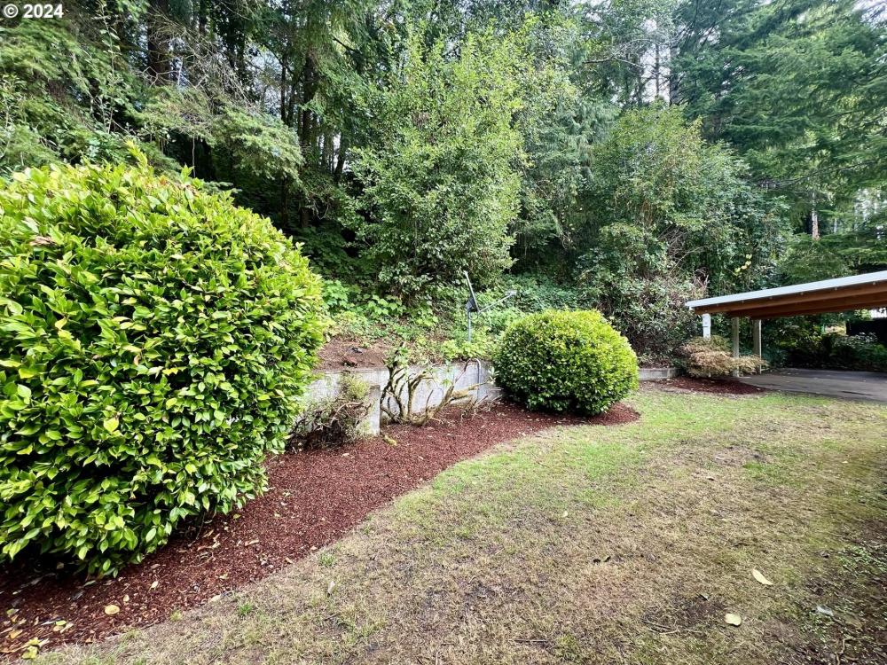 Currently Displayed Property Photo
