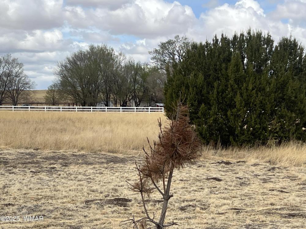 Currently Displayed Property Photo