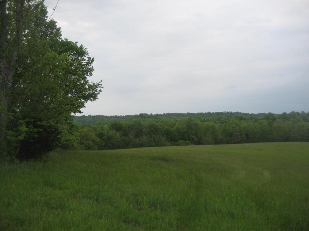 Currently Displayed Property Photo