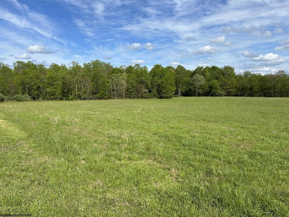 Currently Displayed Property Photo
