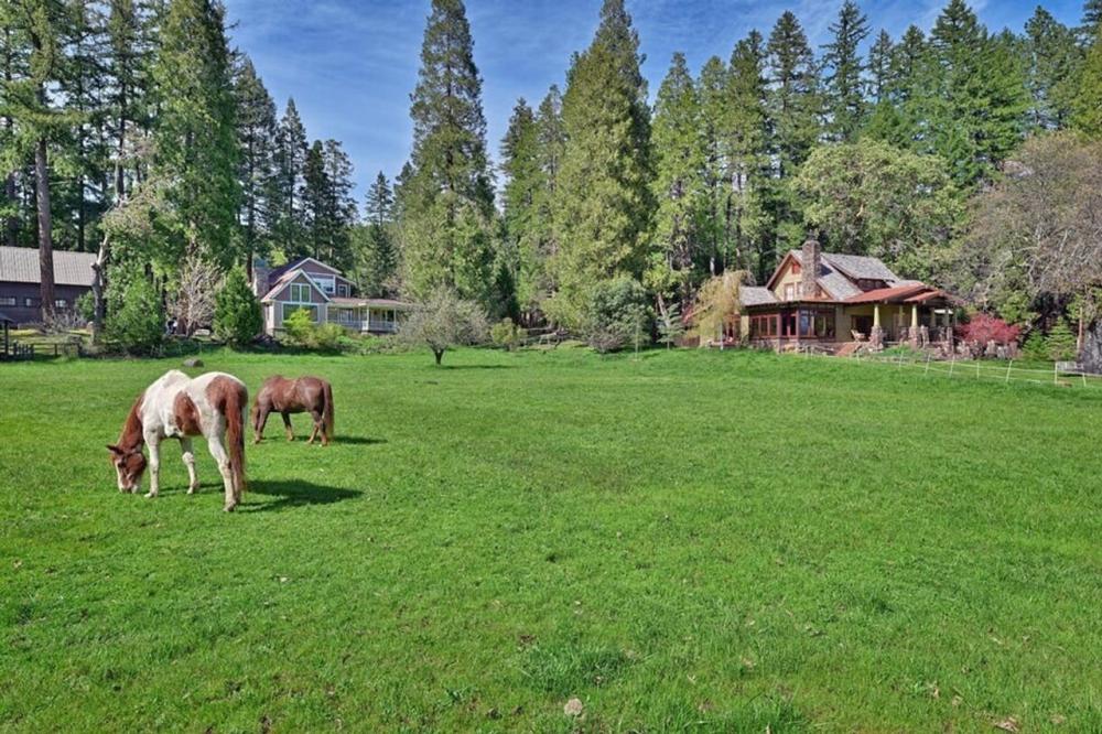 Currently Displayed Property Photo