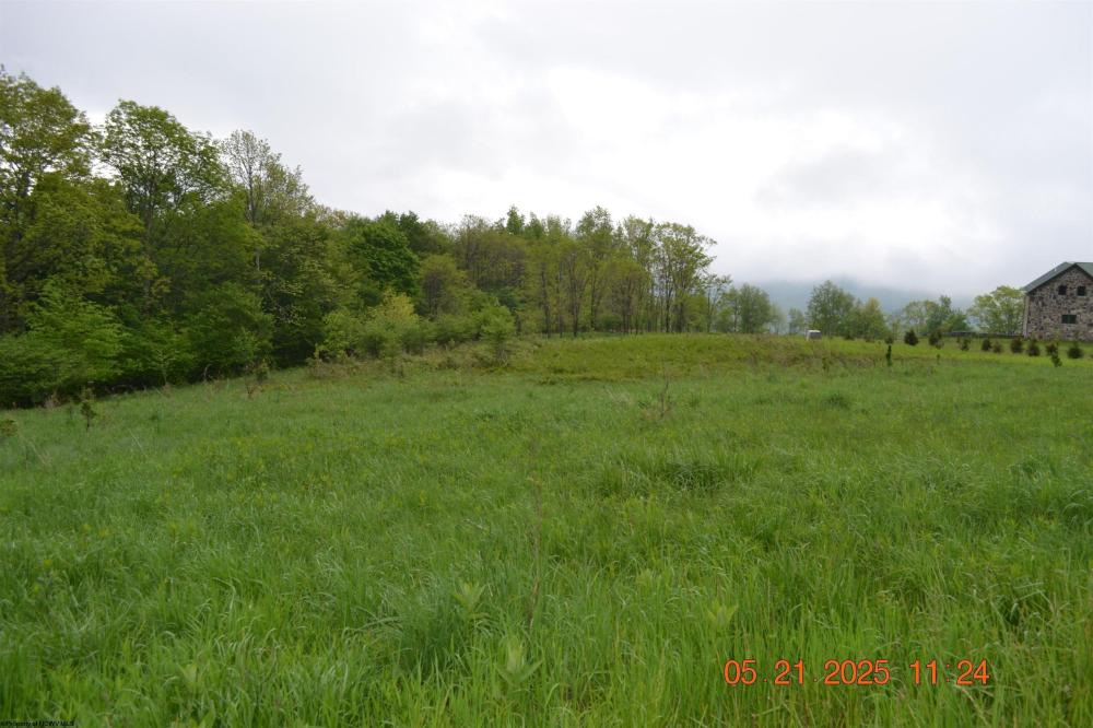 Currently Displayed Property Photo