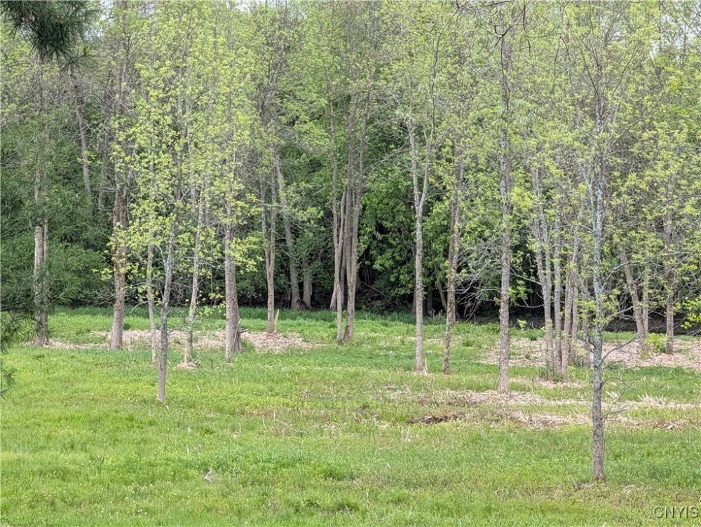 Currently Displayed Property Photo