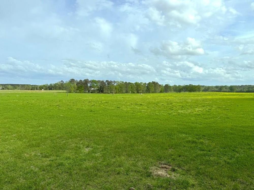 Currently Displayed Property Photo