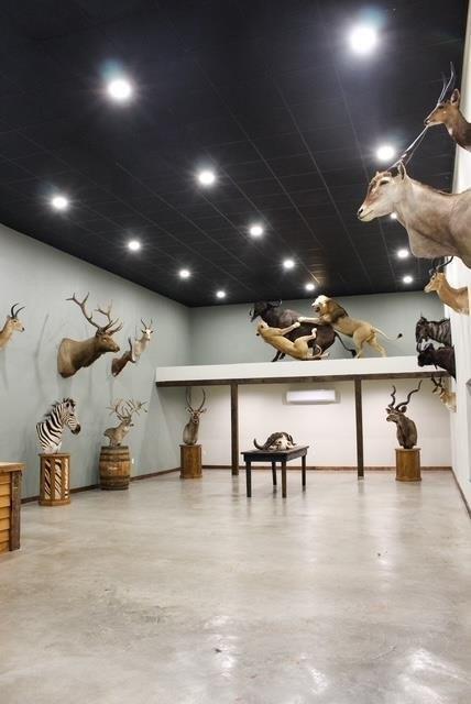 Currently Displayed Property Photo